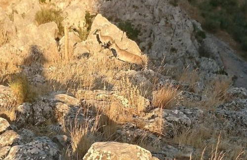 Amapola Alojamiento Rural - Foto 41