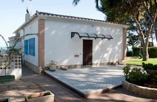 Sargantana Blava - Foto 52