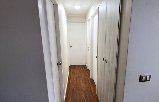 The Racoon Apartament - Foto 10