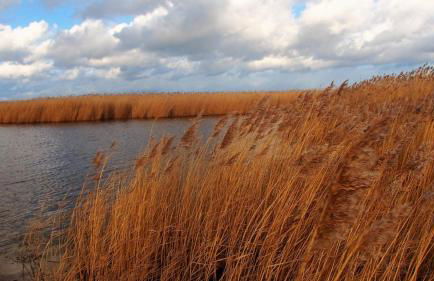 Emilias Hüs, Reethaus in der Bucht von Wismar - Photo 35