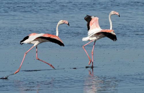 Duplex lumineux près plages - Terrasse & Clim - Parking inclus - FR-1-307-285 - Photo 16