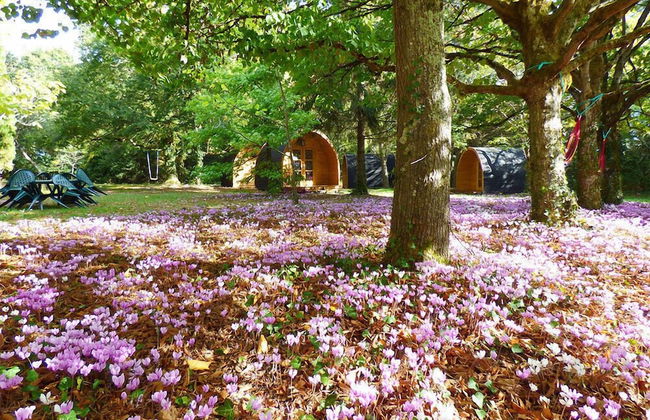 Les Cabanes des Chateaux - Foto 15