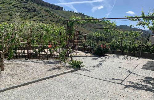 Valadouro Cottage Douro Vallée - Foto 56