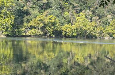 The Firefly Lodge at Shenandoah - Foto 38