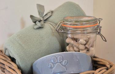 Lovely Little Garden Cottage, Tamar Valley, Cornwall - Photo 19