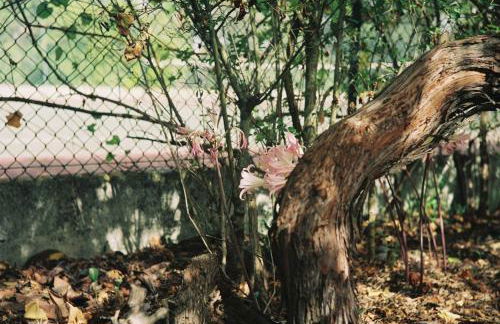 Relax in Style - Prime Spot with Garden & Natural Pool - Foto 43