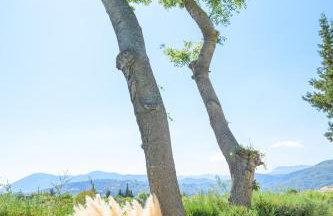 Bikini Apartments - Foto 36