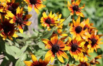 Agroturystyka u Babci - Photo 48