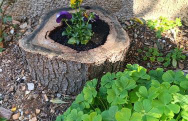 Apartment Marta - free parking! - Photo 40