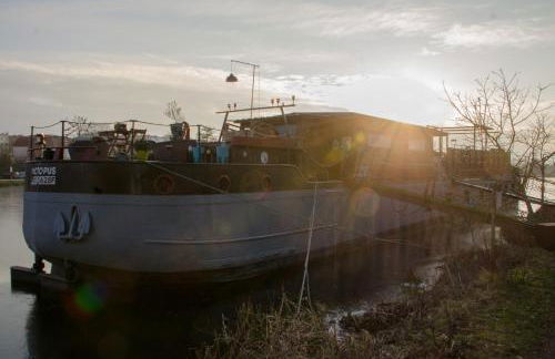 Le grand large - Foto 33