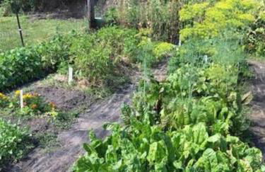 The Apartment at Sky Hollow - Foto 32