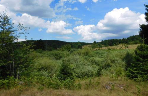 Vacation House Home, Plitvice Lakes National Park - Foto 42