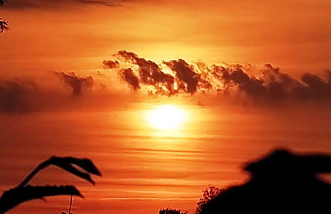 Ferienhaus in Hunning an der Treene - Foto 36