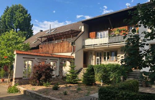 Forsthof Nunkirchen - Foto 10