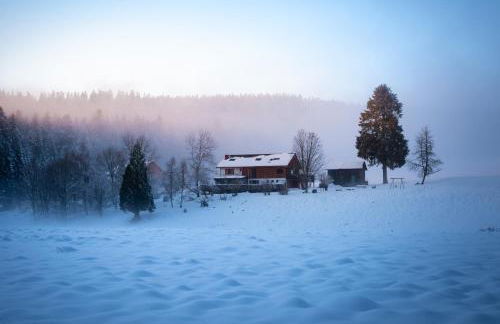 Gîte La Ramée - Foto 28