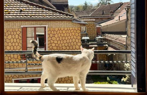 La petite maison - Foto 20