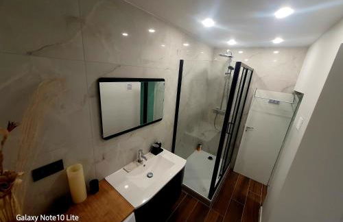 Hôte Stéphanois &parking - Foto 27