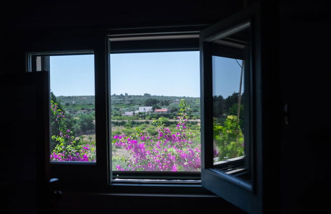 Masseria Montepaolo - Foto 41