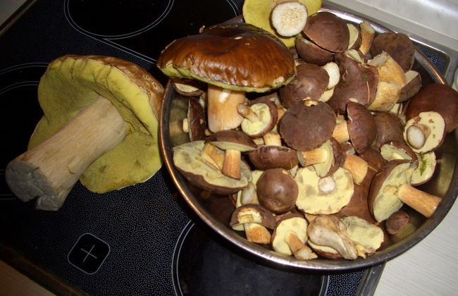 Fully-equipped Apartment in the Fichtelgebirge - Foto 24