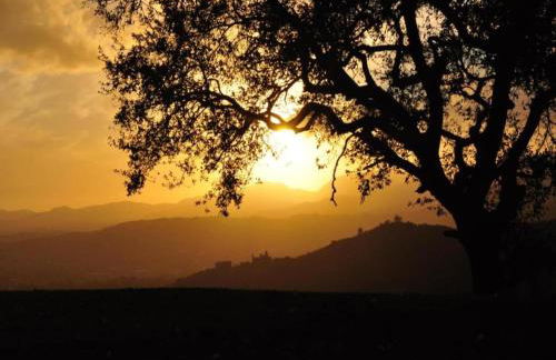 Capannori Playful Cottage - Foto 67