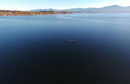 Familiennest Vogelwuid - Photo 9