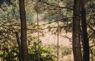 Szept Oberlandu - boutique, luxury Villa in Liva Park - Foto 21