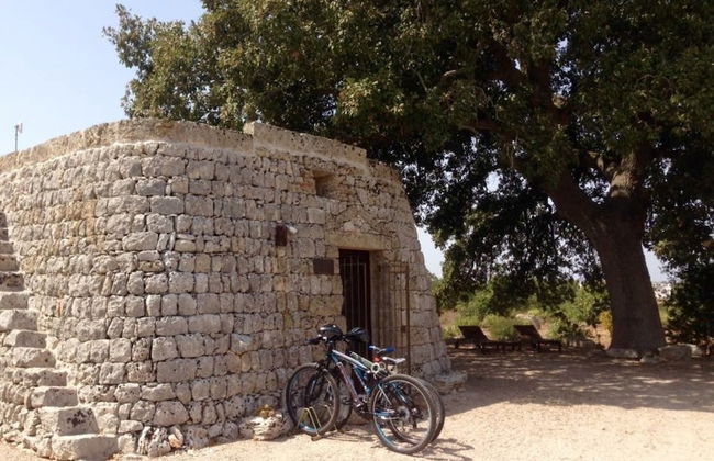 Agriturismo Le Fornelle - Foto 37