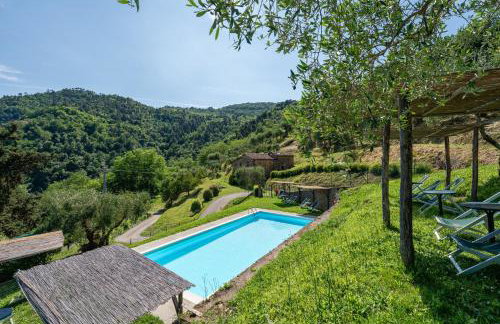 Fattoria di Pietrabuona - Foto 17