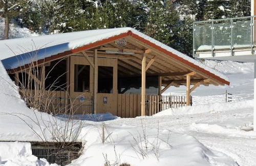 Alpaca-Village - Foto 31