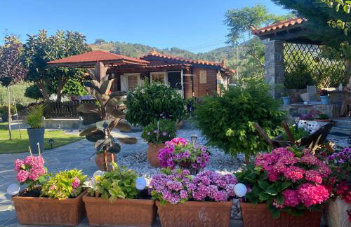 A wooden house in Kardamyla - Foto 12