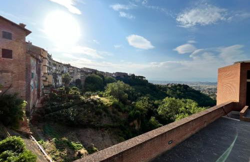 IL GINEPRO - Foto 37