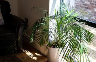 The Eden Warehouse - Pink Apartment (sleeps 4) - Foto 22