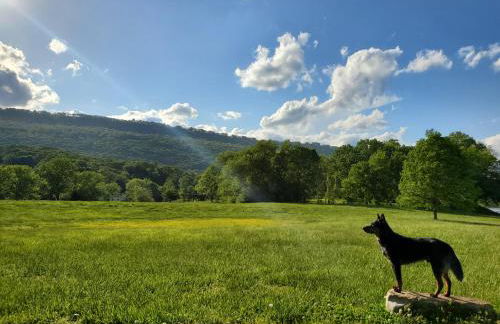 Fryars' Green at Tennessee RiverPlace - Foto 78