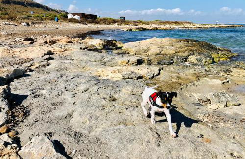 Mediterranean House (Beach & Relax) - Photo 44