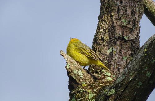 Atelier que virou um Loft em florianopolis - Foto 18