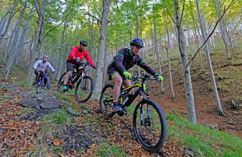 La Locanda del Moro - Foto 75