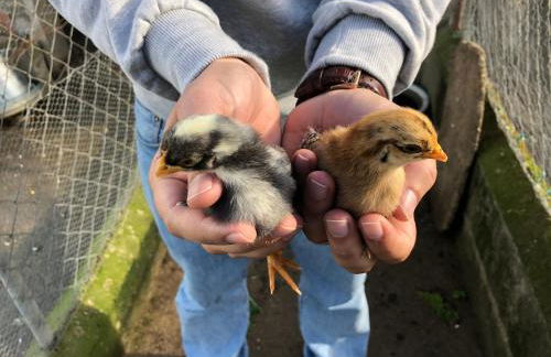 Monte de Stª Margarida - Foto 37