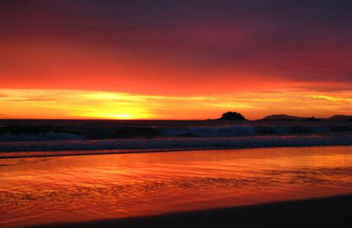 Apto em Palmas - à 80 metros do Mar - Photo 29