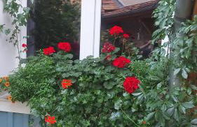 Ferienwohnung im idyllischen Jena Ziegenhain - Foto 30