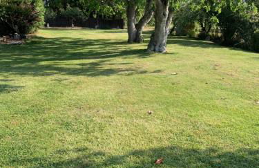 Can Figueretes II - Foto 8