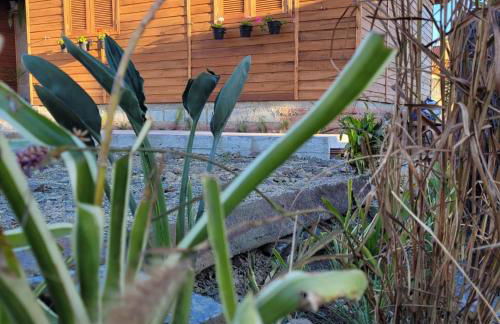 Casa Teka Urubici - Foto 18