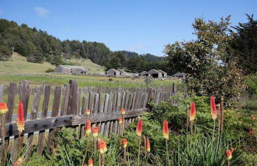 Sea Forever - Photo 19