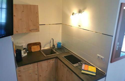 Ferienwohnung Oberlungwitz - Foto 9