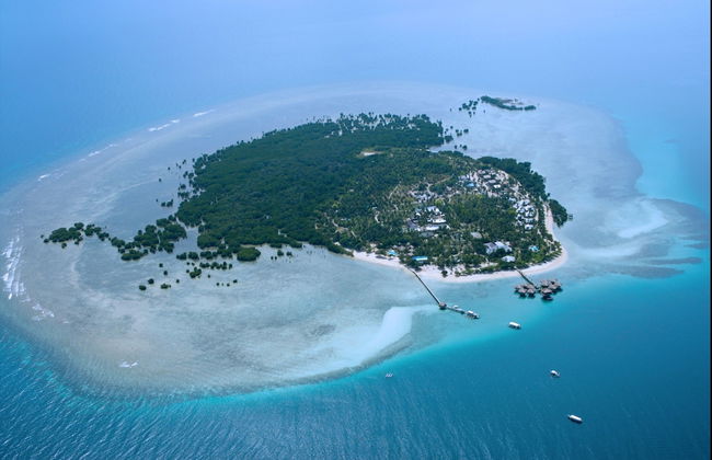 Dos Palmas Island Resort & Spa - Foto 1