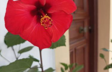 Demy's Studio - Foto 13