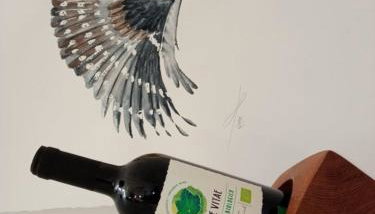 Fewo Zwergseeschwalbe - Ostsee at its best! - Foto 5