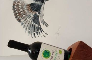 Fewo Zwergseeschwalbe - Ostsee at its best! - Foto 5