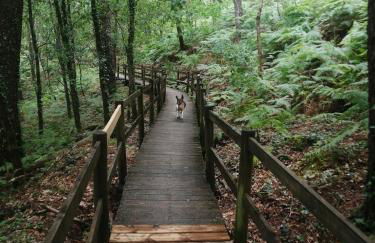 PESO RIVER HOUSE - Foto 45