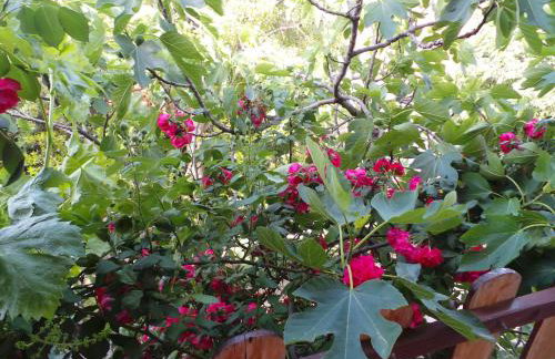 Apartments in Karlobag - Velebit Riviera 17083 - Foto 7