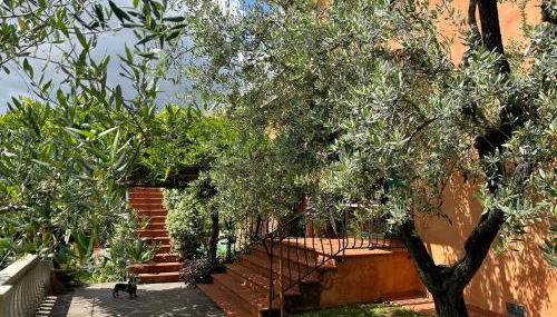 Le Quattro Stagioni - Foto 5, Garden